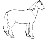 imágenes de caballos