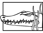 imágenes de burros