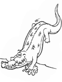 imágenes de caimán