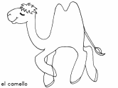 imágenes de camello