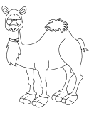 imágenes de camello