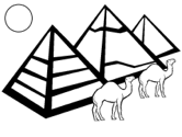 imágenes de camello
