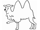 imágenes de camello