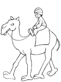 imágenes de camello