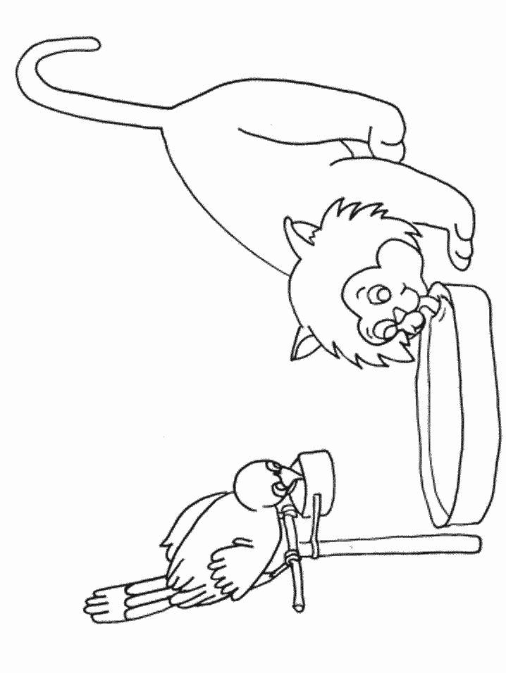 template