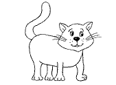 imágenes de gatos