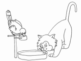 imágenes de gatos