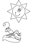 imágenes de insectos