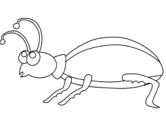 imágenes de insectos