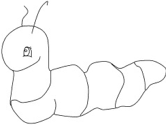 imágenes de insectos