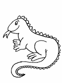 imágenes de iguanas