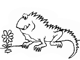 imágenes de iguanas