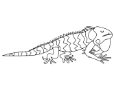 imágenes de iguanas