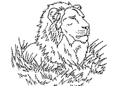 imágenes de león