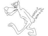 imágenes de lobos