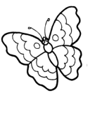 imágenes de mariposa