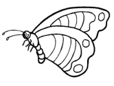 imágenes de mariposas