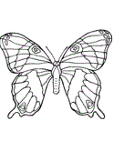 imágenes de mariposas