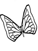 imágenes de mariposas