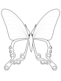 imágenes de mariposas