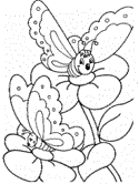 imágenes de mariposas
