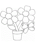 imágenes de mariposas