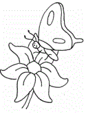 imágenes de mariposas