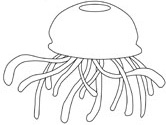 imágenes de medusa