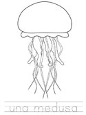 imágenes de medusa