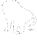 imágenes de monos