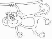 imágenes de monos