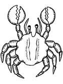 imágenes de cangrejos