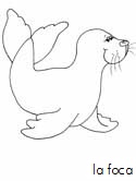 Imagen de un animal del océano