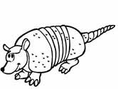 imágen de un armadillo
