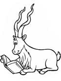 imágen de un kudu