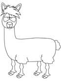 imágen de una llama