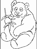 imágenes de panda