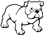 imágenes de perros