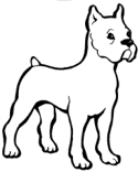 imágenes de perros