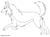 imagen de un husky siberiano