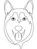 imágenes de husky