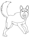 imágenes de husky