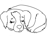 imágenes de perros