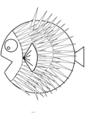 imágenes de peces