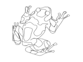 imágenes de ranas