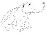 imágenes de ranas