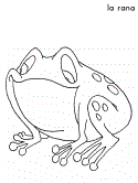 imágenes de ranas