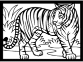 imágenes de tigre