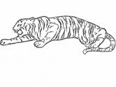 imágenes de tigre