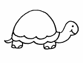 imágenes de tortuga